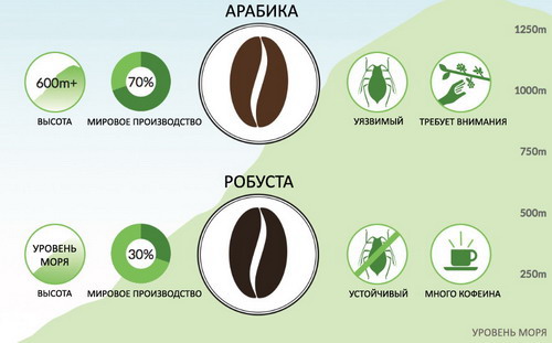 Арабика vs Робуста