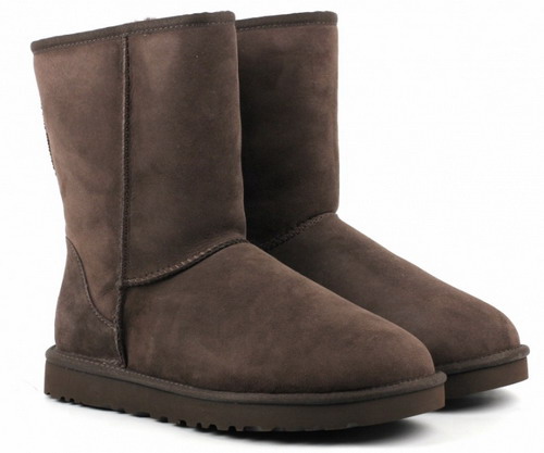 Сапоги мужские UGG Сапоги мужские UGG