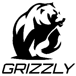 Молодежные рюкзаки и сумки Grizzly - интернет магазин