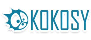 Интернет-магазин электроинструментов «Kokosy»