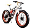 Электротранспорт городского типа от компании ELITEBIKE