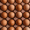 Що означає маркування на яйцях: короткий огляд